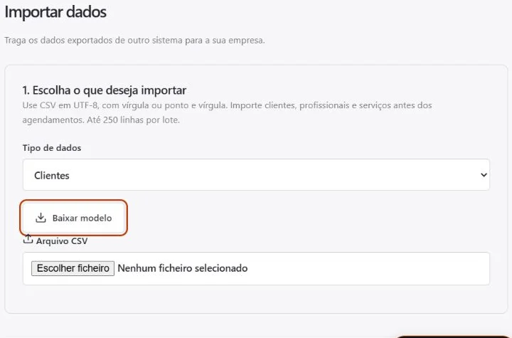 Tela real de importação com escolha do tipo de dados e modelo de arquivo CSV